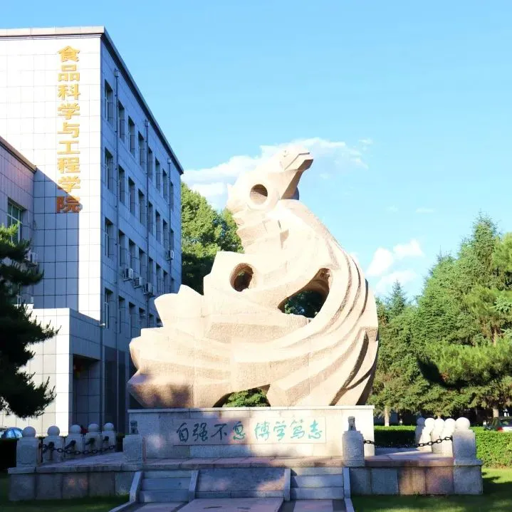 季后赛如何通过团队训练提升默契_0